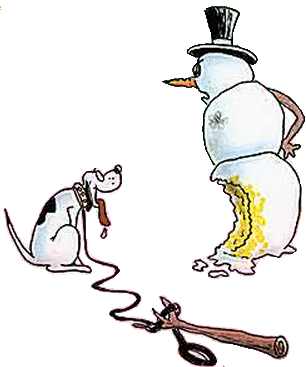 Read more about the article Is Snow Safe to Eat?