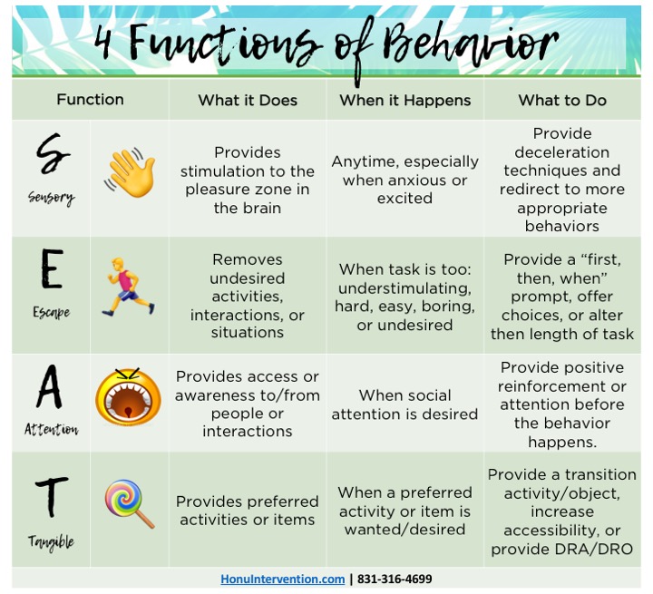 Read more about the article SEL Series – The Golden Nugget