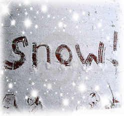 Read more about the article 2/5 TRAINING POSTPONED DUE TO SNOW