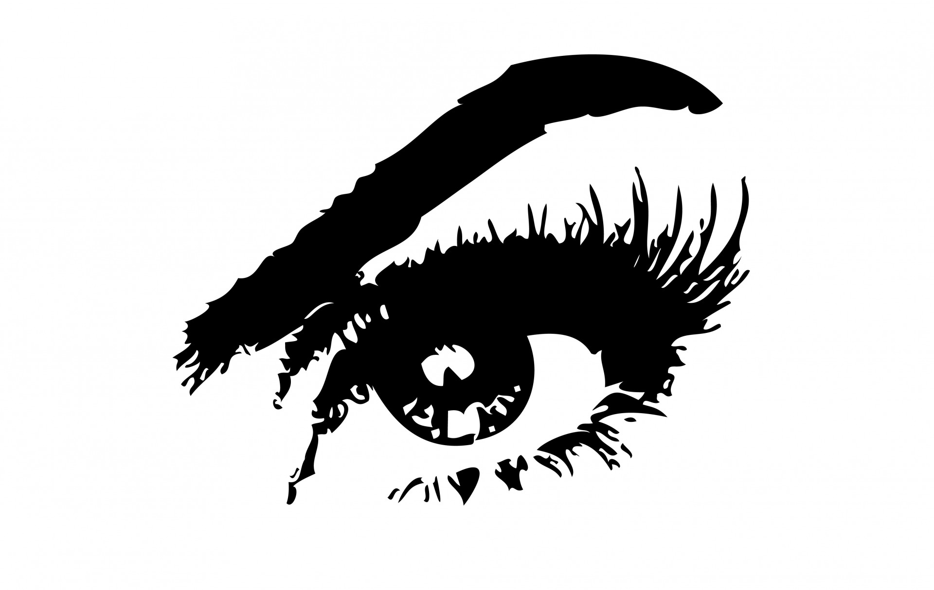 Read more about the article What’s the Eye Got to do with It???