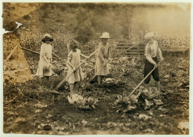 Read more about the article History of Summer Vacation from School