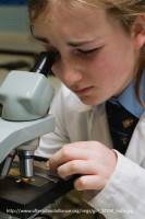 Read more about the article Soooo, was after school STEM money in the Federal budget?