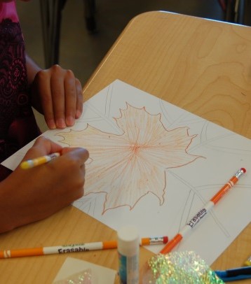 You are currently viewing CASE STUDY: Partnering with local museums after school and in the summer
