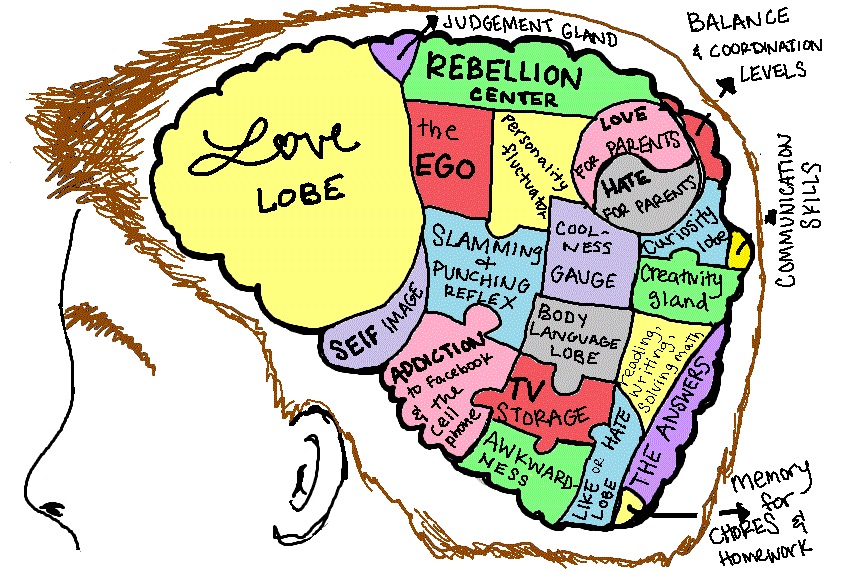 Read more about the article SEL Series – Teen Life