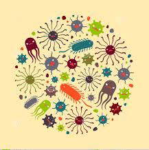 Read more about the article Talking Viruses?