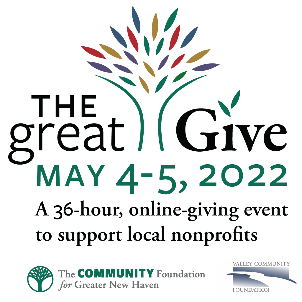 Read more about the article Great Give 2022