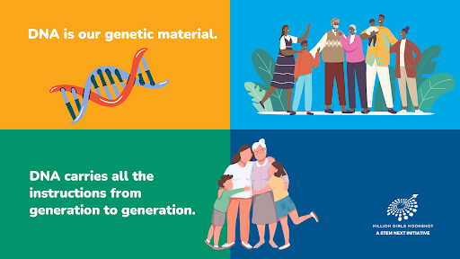 Read more about the article DNA Day